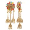 Exotic Densena Bahubali Multicolor Metal Jhumki Earrings for Women 3 Jhumki Earrings