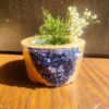 Golden Crystal Blue: A Planter's Guide to Thick, Luxurious Concrete Creations" 5 SG RSA PLNT 01 2