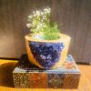 Golden Crystal Blue: A Planter's Guide to Thick, Luxurious Concrete Creations" 7 Concrete Planter