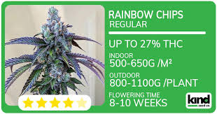 Exploring Cannabis Seeds Saskatchewan Cultivation and Legal Aspects