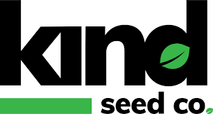 Exploring Cannabis Seeds Saskatchewan Cultivation and Legal Aspects